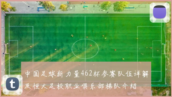 中国足球新力量462杯参赛队伍详解及恒大足校职业俱乐部梯队介绍